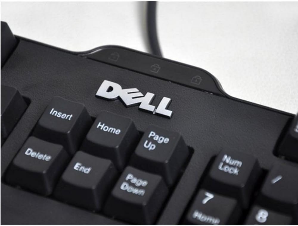 61eiz-RZI+L._AC_SL1000_